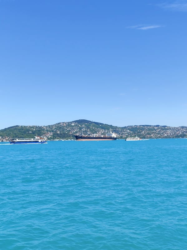 Bosphorus ferry traffic captured in Sarıyer during clear morning