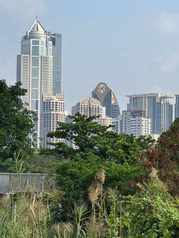 Bangkok skyline viewed through foliage in early morning hours