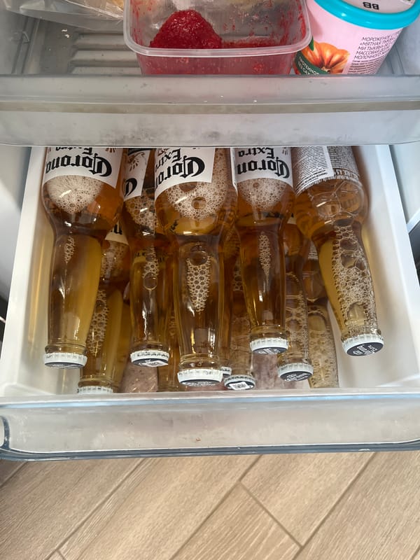 Refrigerator Interior Documented by Independent Witness