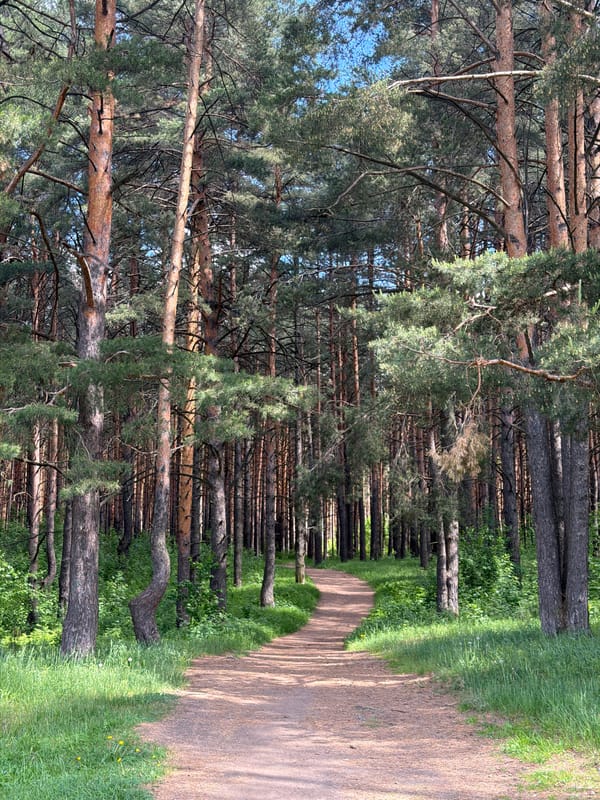 Forest walks and rural motorcycle ride documented near Chaikovsky