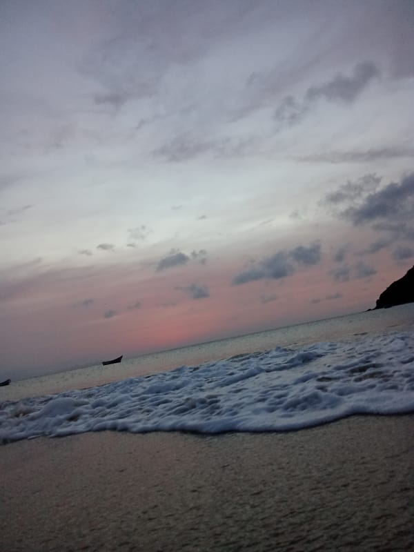 Witness documents street flora and urban scenes in Juan Griego