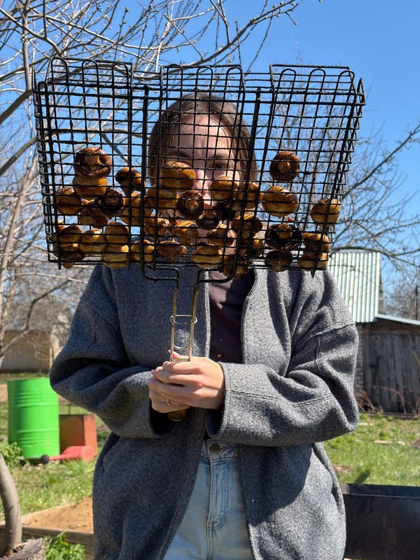Morning barbecue gathering documented in Neftekamsk, Russia backyard