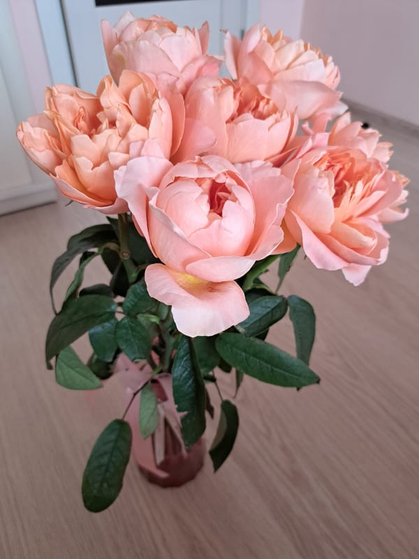 Flowers, cash, and a cake topper mark a celebration in Irkutsk