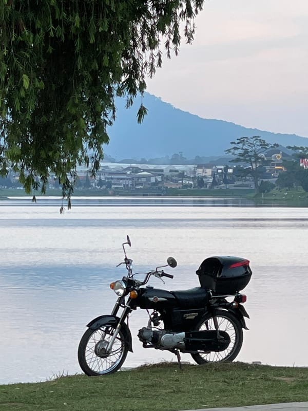 Casual lakeside moments captured around Da Lat's Xuan Huong Lake