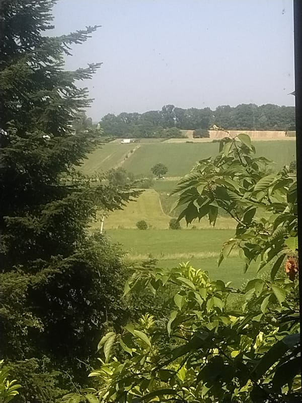 Fields, flight, and glowing signage in Leudelange