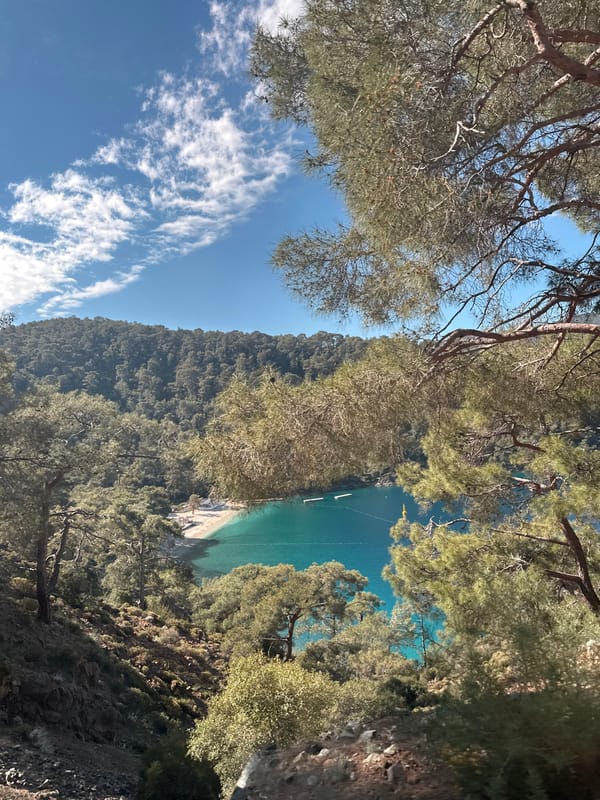Coastal forest views captured in Fethiye, Turkey