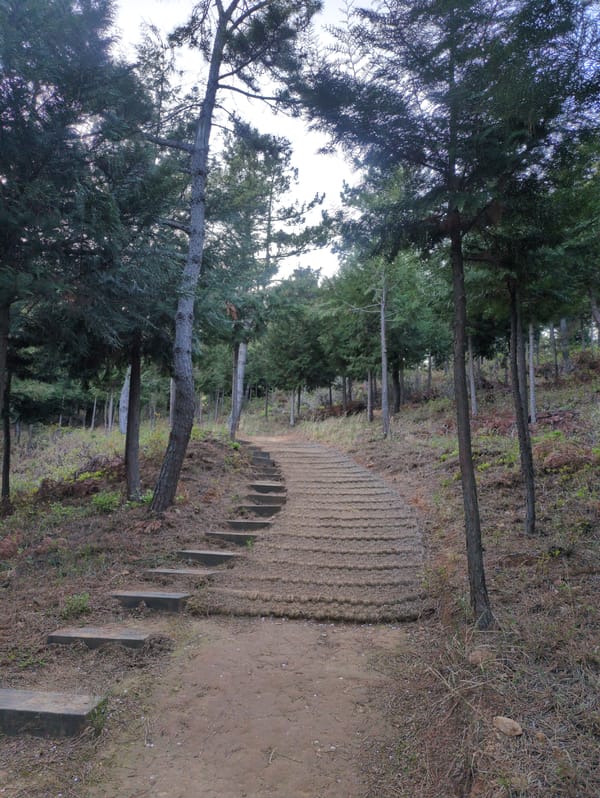 Morning walk documented across Ulsan parks and harbor areas