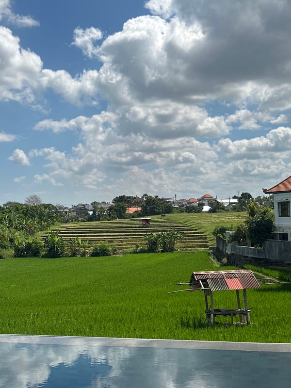 Bali resort: infinity pool, rice paddy views, open-air dining