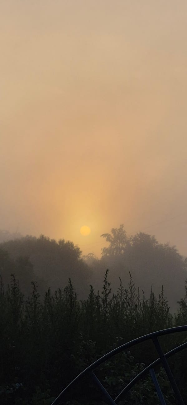 Misty sunrise over a quiet neighborhood at dawn