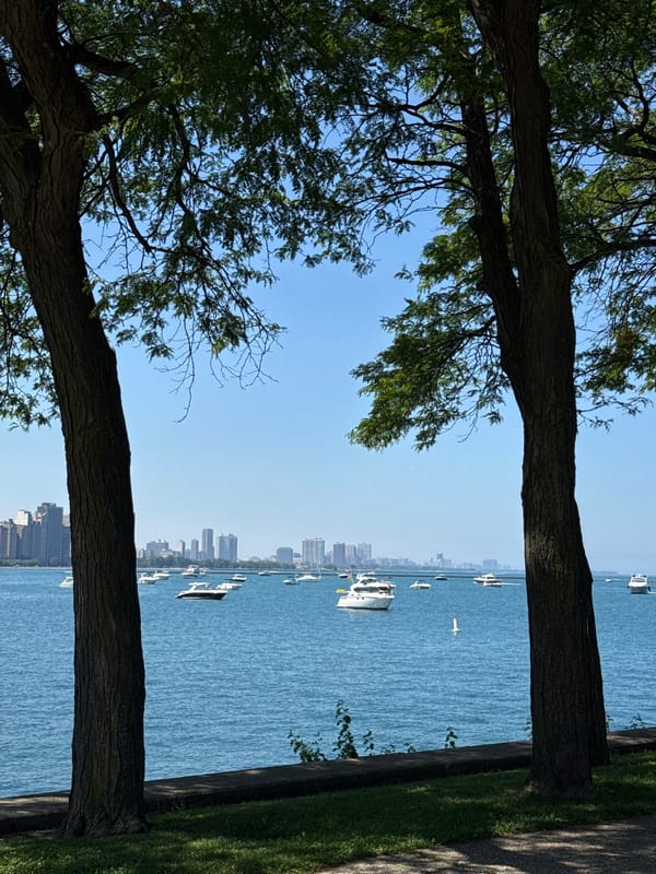 Chicago's Lake Michigan shoreline framed by summer trees