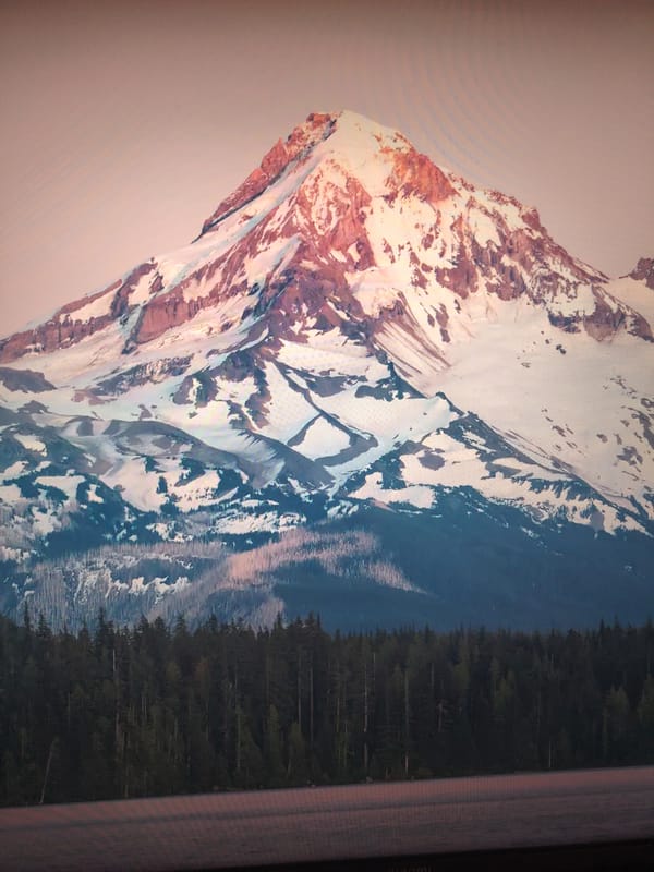 Witness documents diverse landscapes and cityscapes in 22-minute span