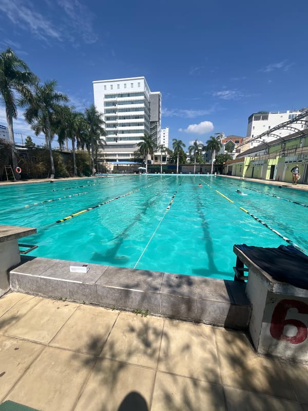 Swimming pool and bamboo stalks documented in Nha Trang