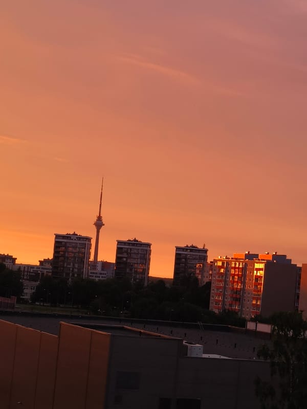 Tallinn sunset and a lop-eared rabbit, same evening