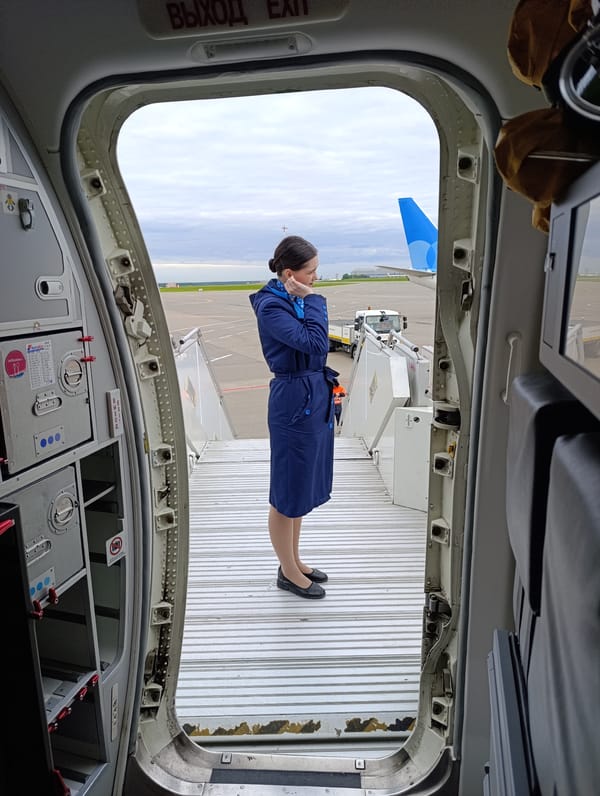 Flight attendant viewed from aircraft door at Vnukovo Airport