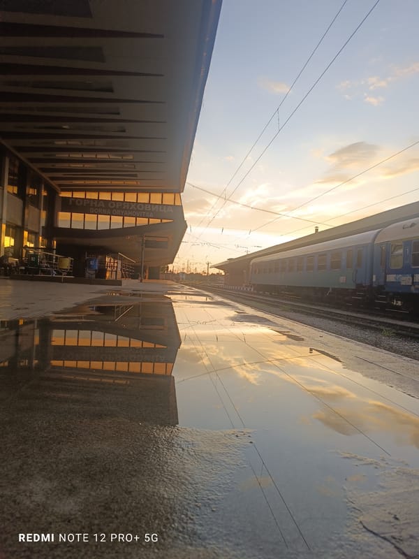 Dog spotted at Bulgarian railway station during evening hours