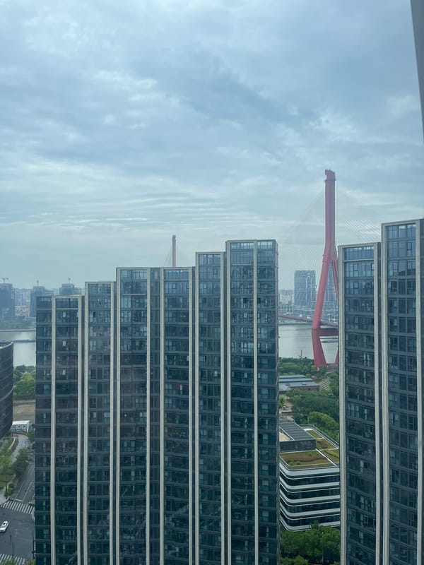 Modern Pudong buildings and red bridge observed early morning