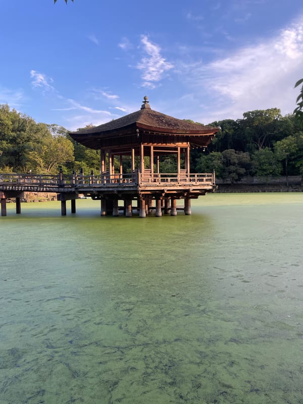 Ukimidō pavilion floats above algae-covered pond in Nara Park