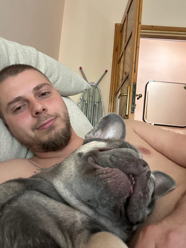 Lazy couch hang with a French bulldog.