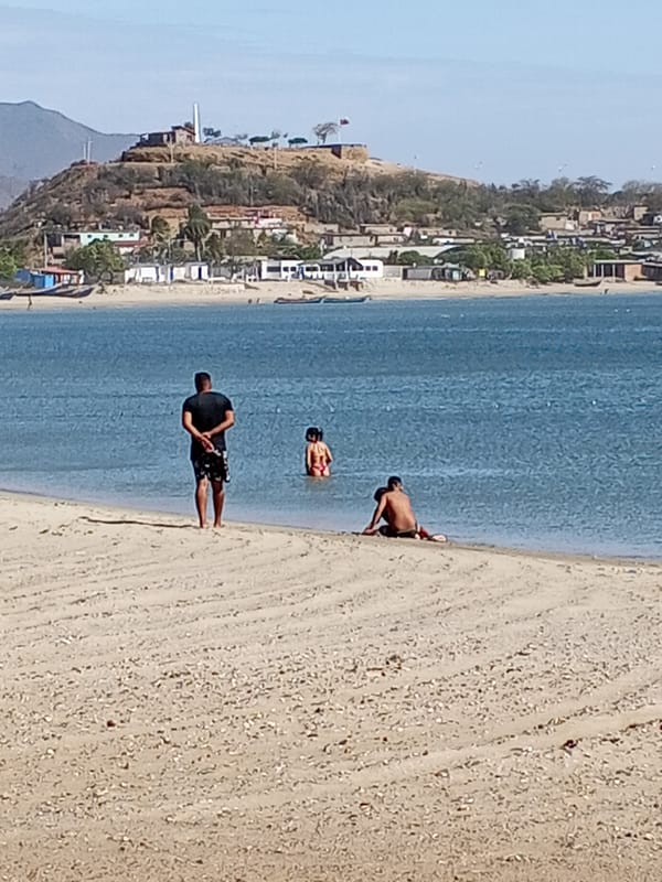 Boy catches fish on Juan Griego beach, Venezuela