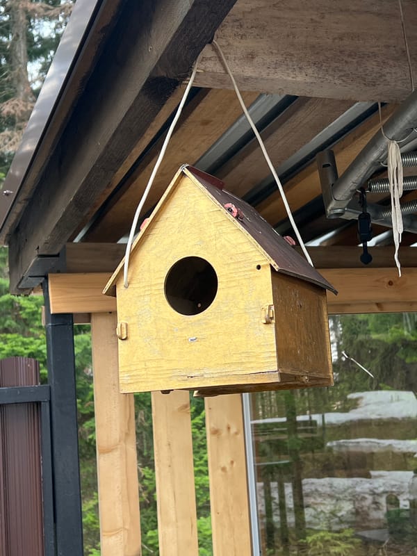 Quiet morning moments across Russia: birdhouse, sleeping baby, selfie