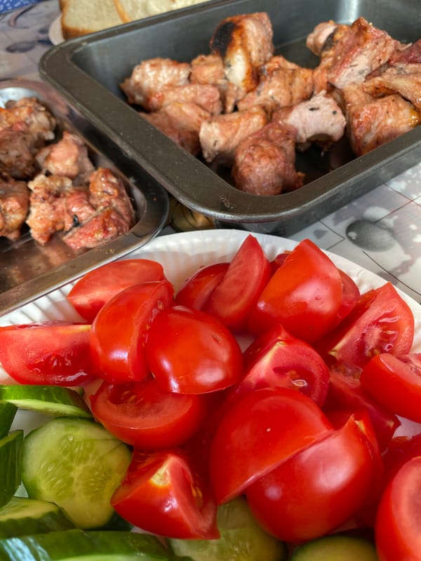 Outdoor shish kebab spread with beer and fresh vegetables, Novokuznetsk