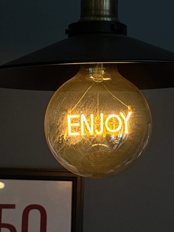 Decorative "ENJOY" light bulb photographed at Krasnoyarsk cafe