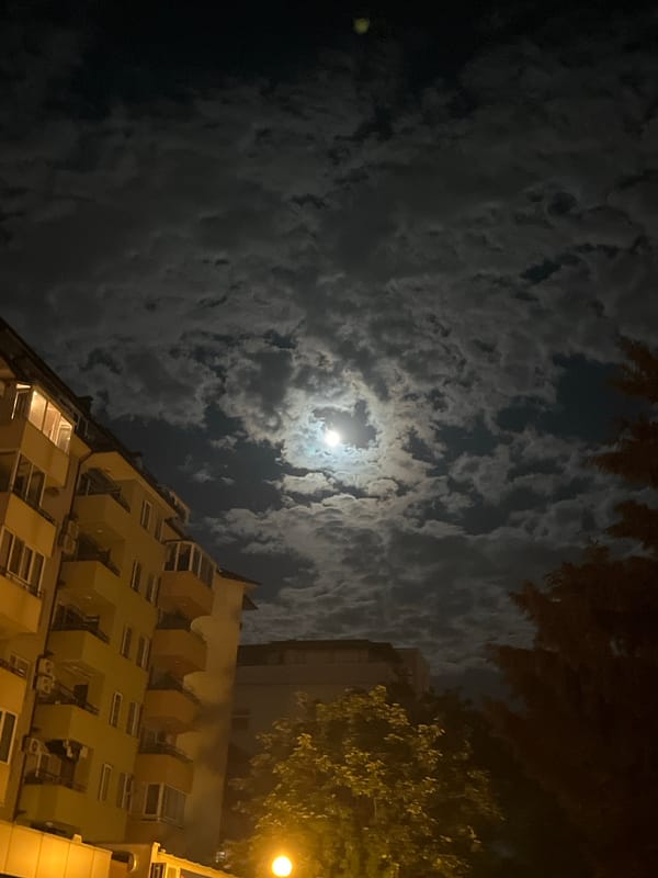Witness captures moonlit night scene with urban building