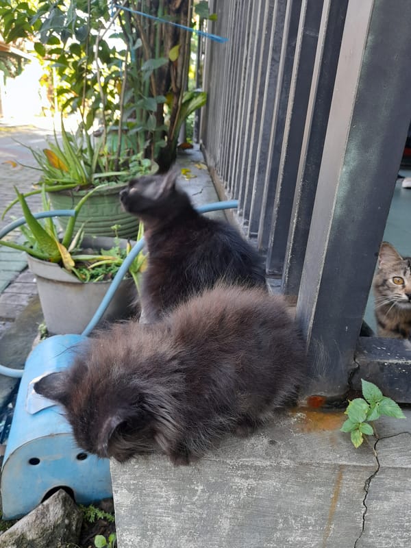 Quiet midnight moments captured in Gelam, Indonesia