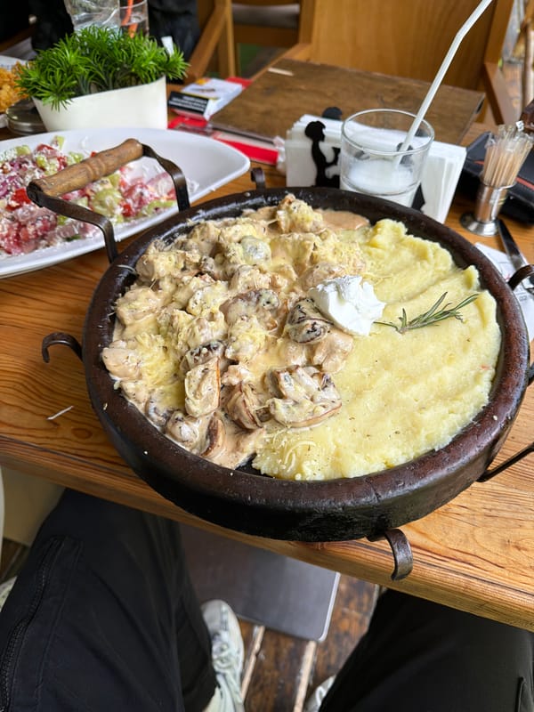 Restaurant meal documented in Blagoevgrad, Bulgaria