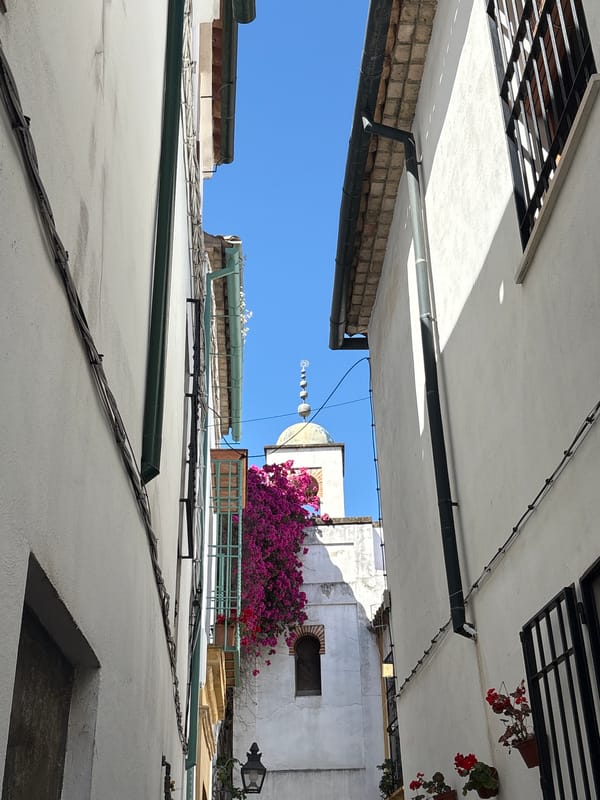 Street scene photographed in historic Córdoba, Spain
