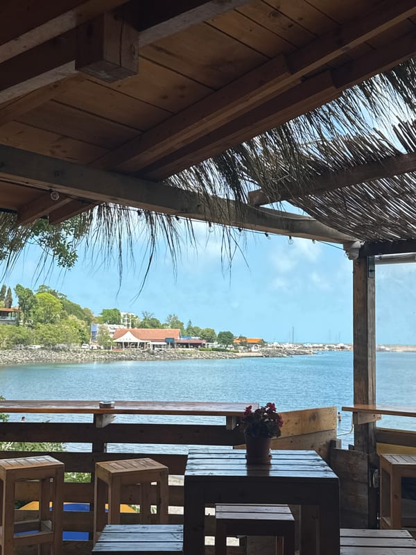 Seaside dining experience documented in Tsarevo, Bulgaria coastal establishment
