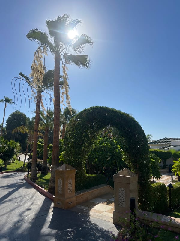 Morning stroll through a Sharm El Sheikh resort