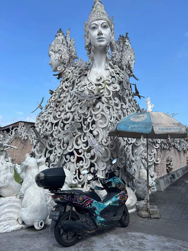 Public art installations documented across Denpasar Indonesia morning