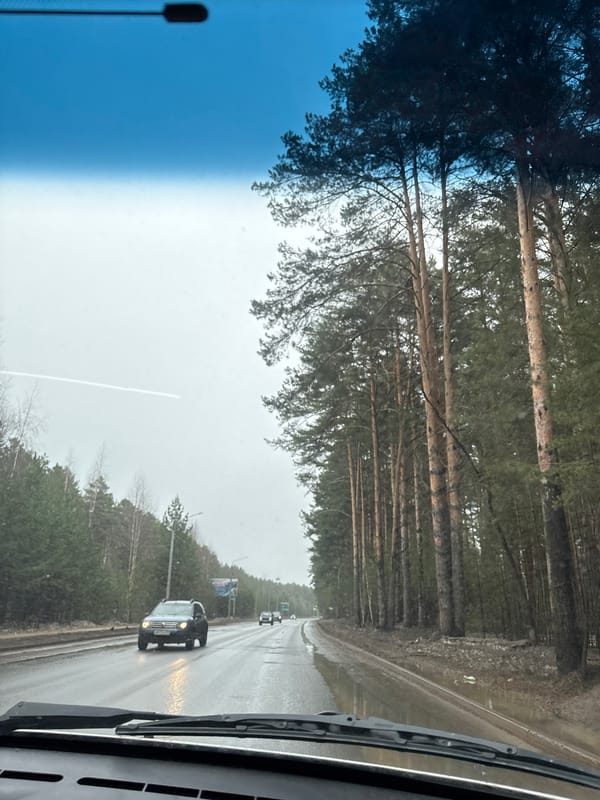 Morning travel through forested roads in Chaikovsky, Russia