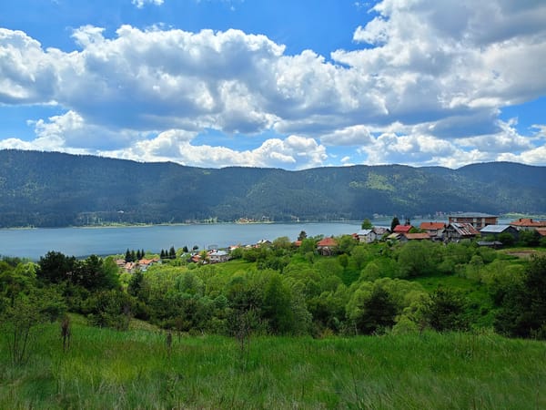 Dog walk captured near lakeside village in Bulgarian countryside