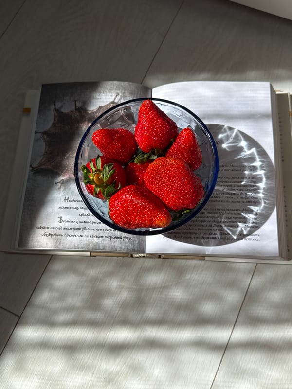 Person documents strawberry snack and reading session in sunlight
