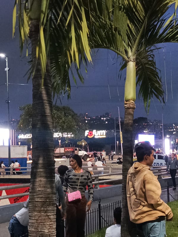 Urban nighttime street scenes captured with pedestrians, palm trees