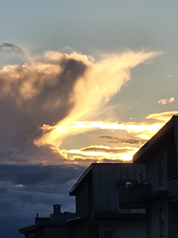 Evening storm clouds gather over city apartment with gray cat