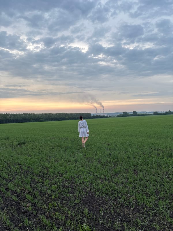 Rural Russian village life documented through ordinary afternoon moments