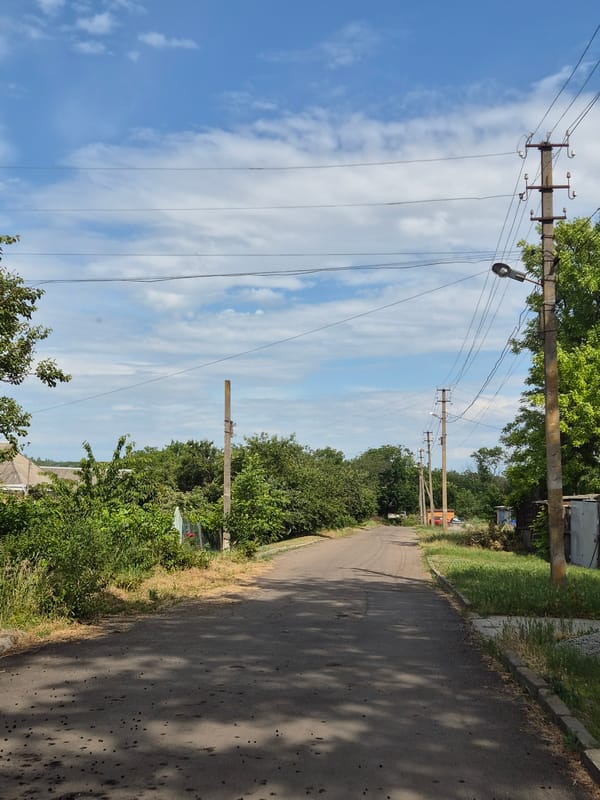 Summer afternoon in a small Ukrainian village, gardens and fields