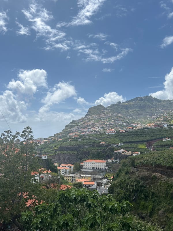 Tourist documents afternoon scenes in Portuguese hillside town