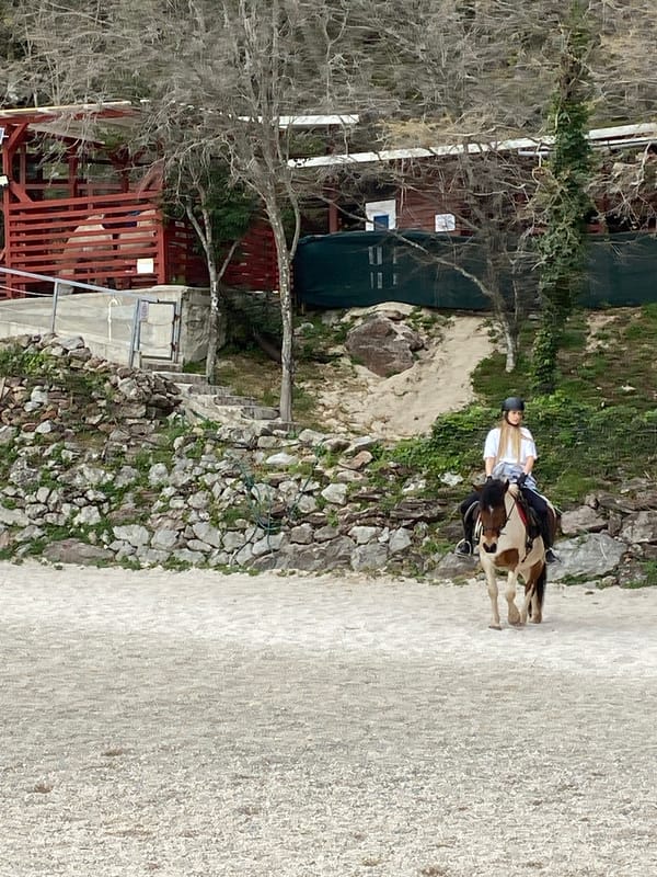 Equestrian training session captured in rural Montenegro