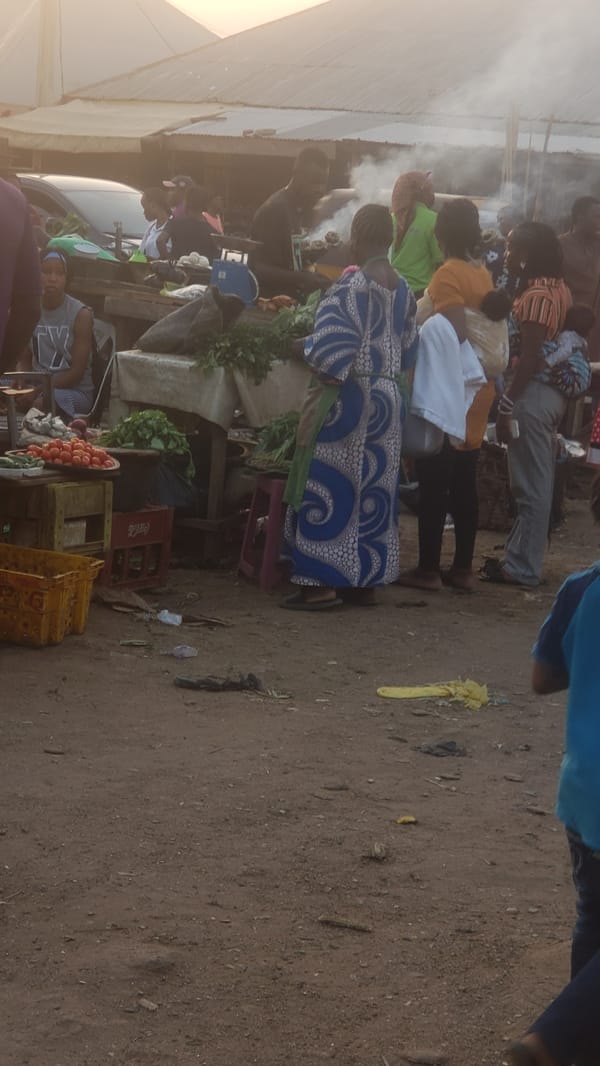 Daily market activity documented in Narayi, Nigeria marketplace