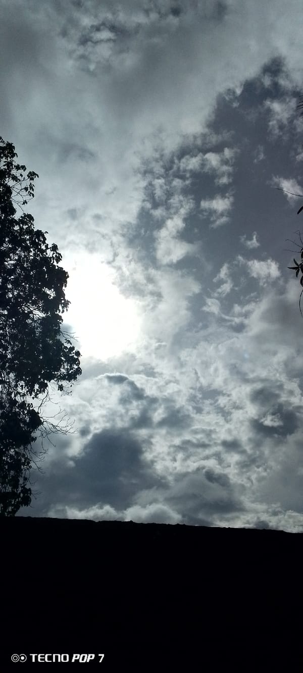 Witness documents afternoon sky through trees in Venezuelan courtyard