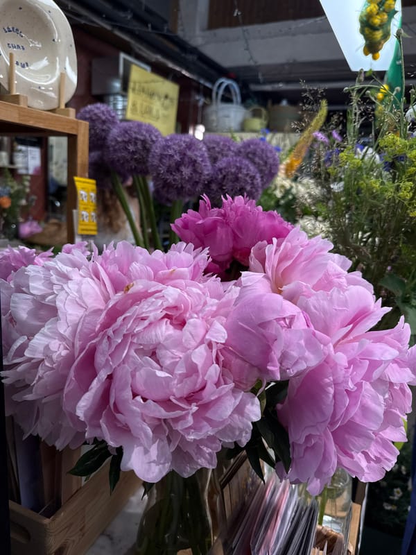 Flowers, fancy cars, and café life in Jūrmala