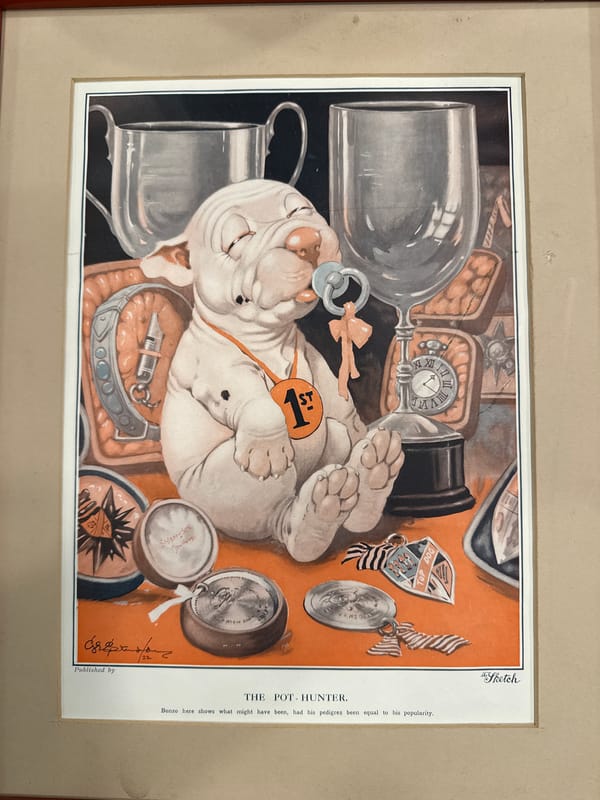 London witness documents vintage cartoon print and hare sculpture