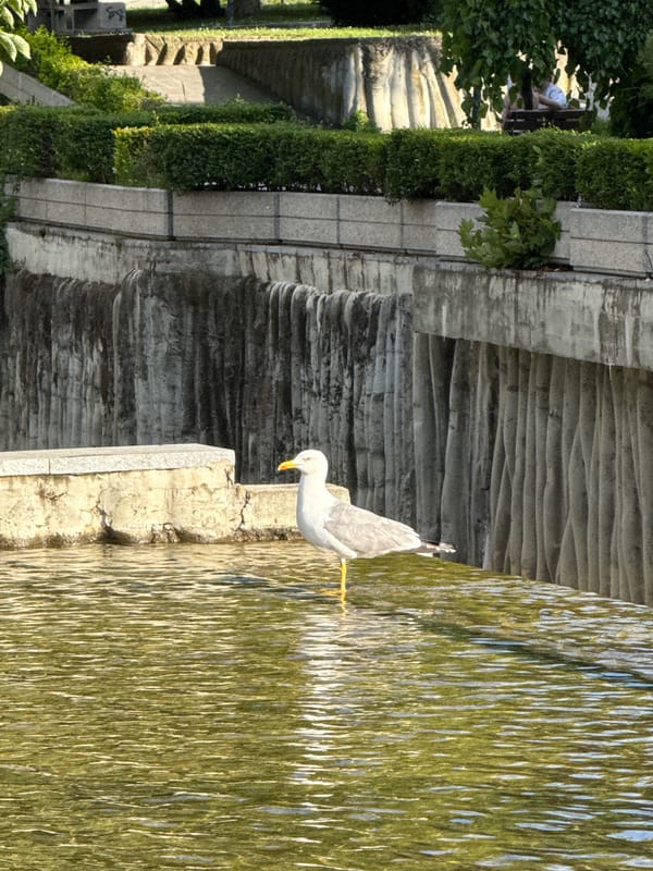 Afternoon park visit documented in Pleven, Bulgaria