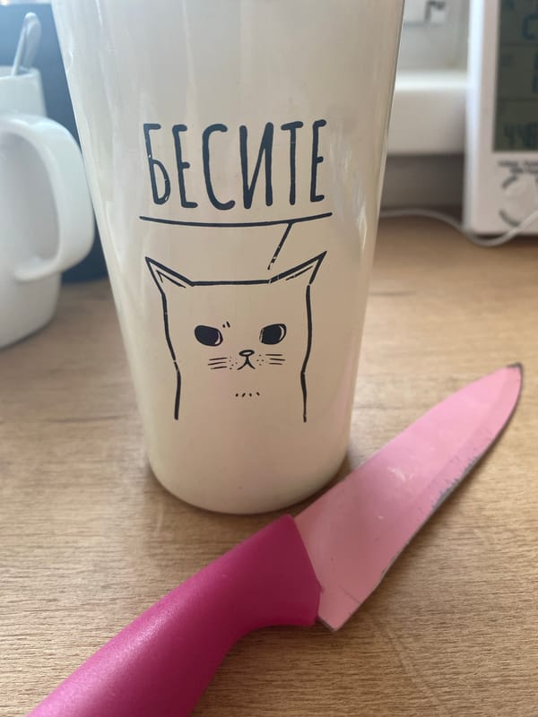 Morning domestic routine with pet care documented in Chaikovsky