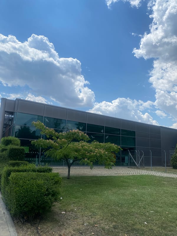 Modern glass building behind a flowering tree in Burgas