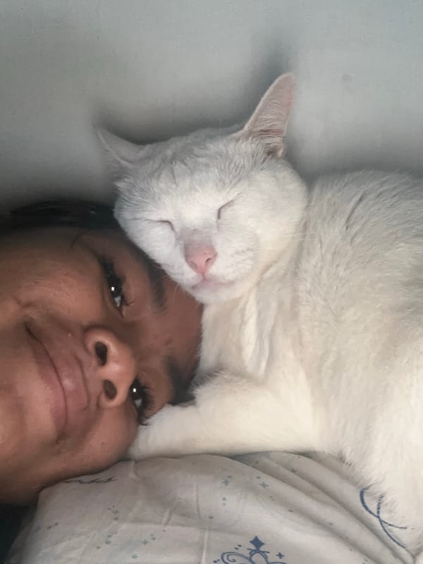 Woman and white cat share quiet morning moment in Jakarta